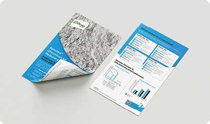 Flyer Synchro